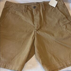 American Eagle Outfitters Tan Flat Front Cotton Shorts